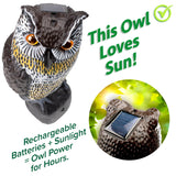 Realistic Owl Scarecrow – Garden Owl Animal Repellent